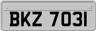 BKZ7031