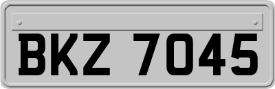 BKZ7045