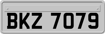 BKZ7079