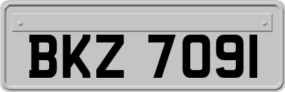 BKZ7091