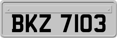 BKZ7103