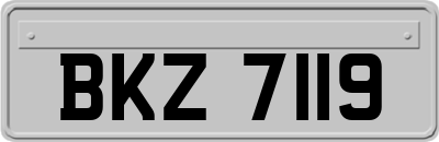 BKZ7119