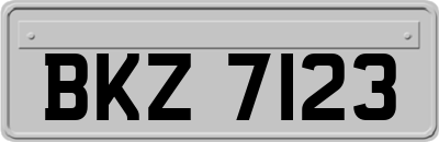BKZ7123
