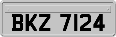 BKZ7124