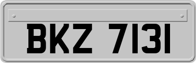 BKZ7131