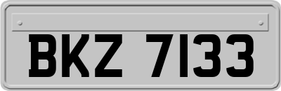 BKZ7133
