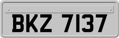 BKZ7137