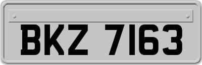 BKZ7163