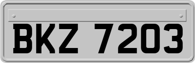 BKZ7203