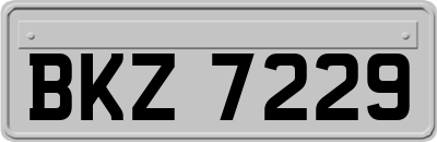 BKZ7229