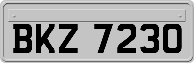 BKZ7230