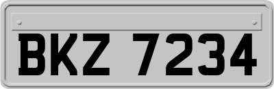 BKZ7234