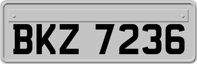 BKZ7236