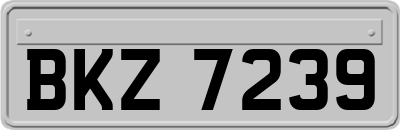 BKZ7239