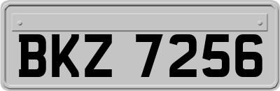 BKZ7256