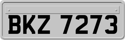 BKZ7273