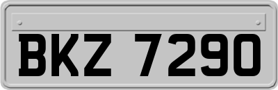BKZ7290