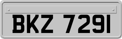 BKZ7291
