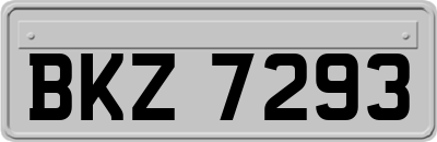 BKZ7293