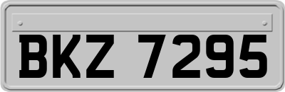 BKZ7295