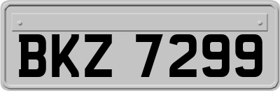 BKZ7299