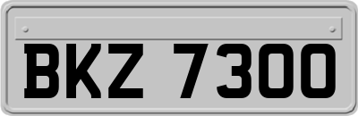 BKZ7300
