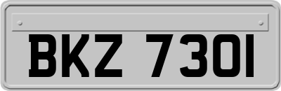 BKZ7301