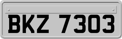 BKZ7303
