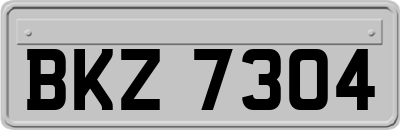 BKZ7304