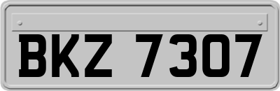 BKZ7307