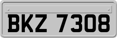 BKZ7308