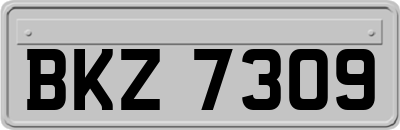BKZ7309