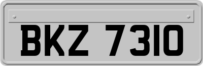 BKZ7310