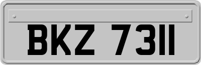 BKZ7311
