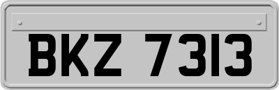 BKZ7313