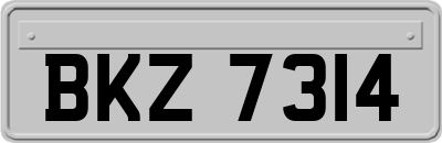 BKZ7314
