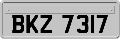 BKZ7317