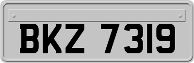 BKZ7319