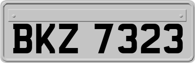 BKZ7323