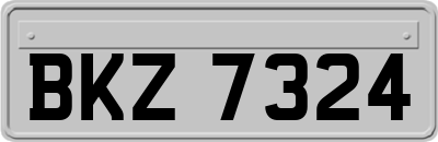 BKZ7324