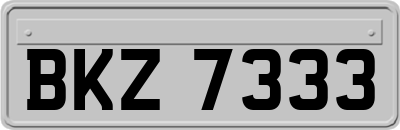 BKZ7333