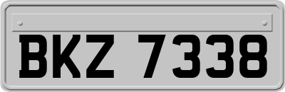 BKZ7338