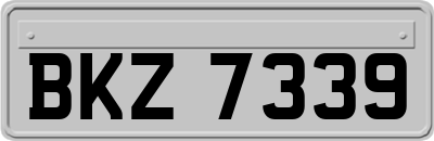 BKZ7339