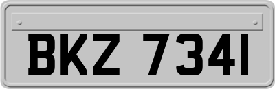BKZ7341
