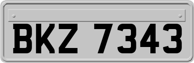 BKZ7343