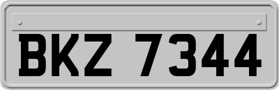 BKZ7344