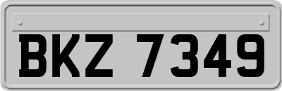 BKZ7349