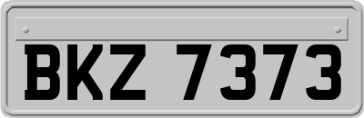 BKZ7373