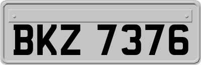 BKZ7376