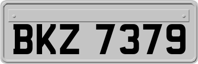 BKZ7379